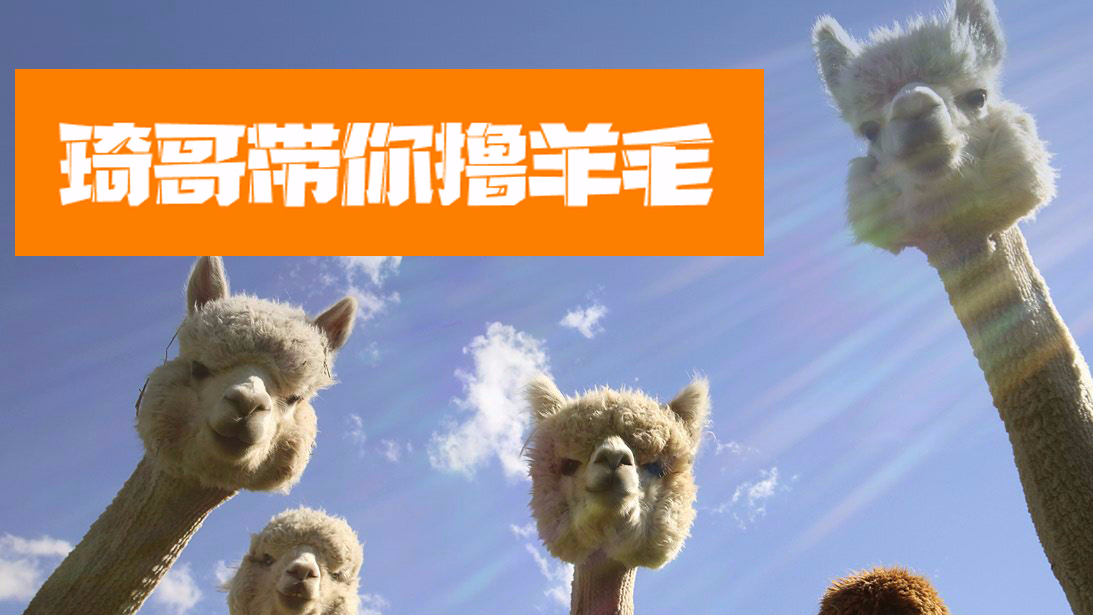 第二期